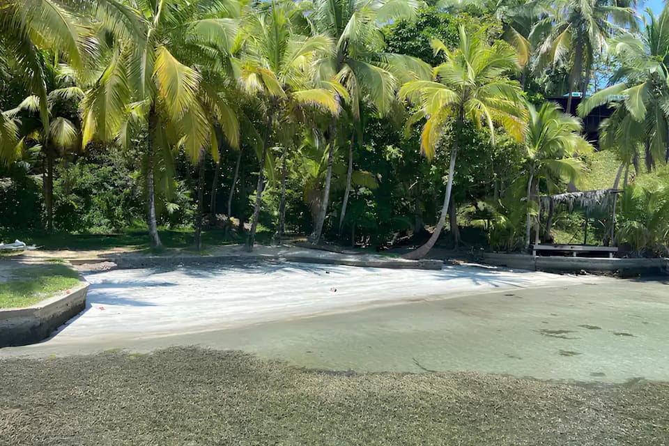 Beach, Beach