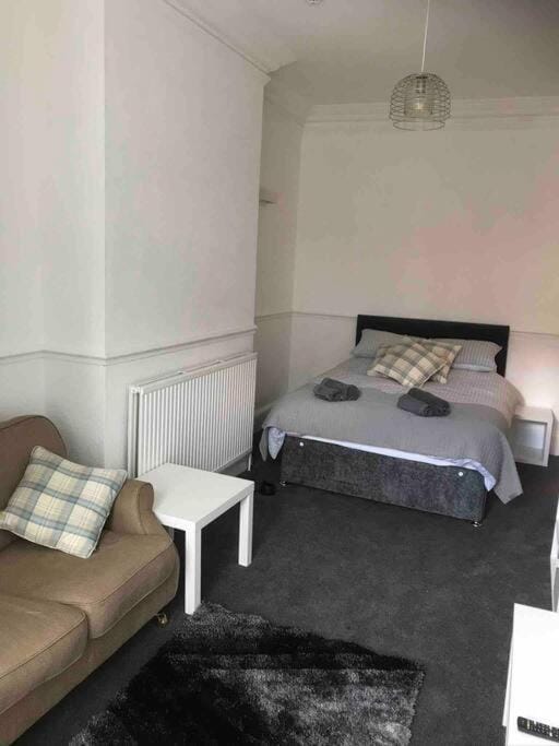 1Studio Avenue House Apartment in Scarborough
