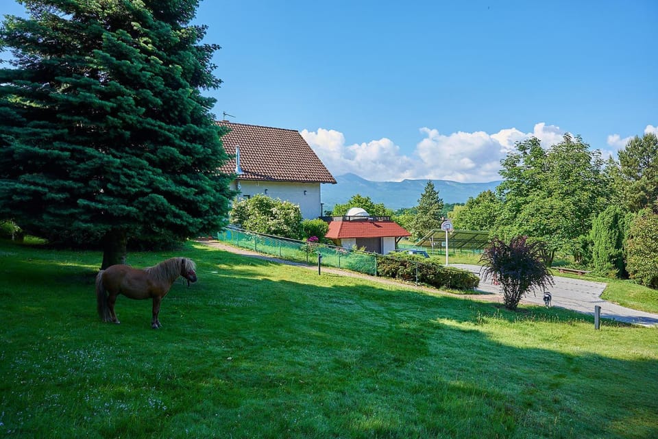 Garden, Mountain view