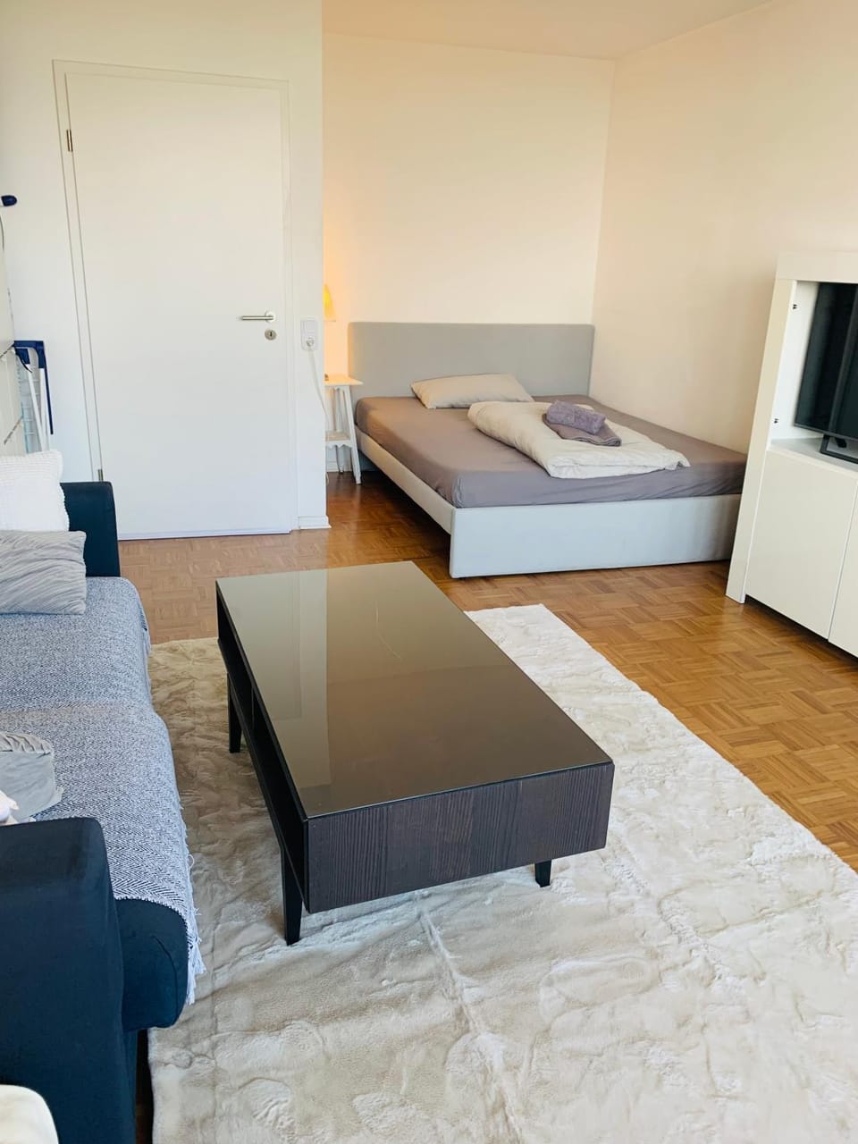 Business Messe Apartment & Wellness Spa Apartment in Dusseldorf