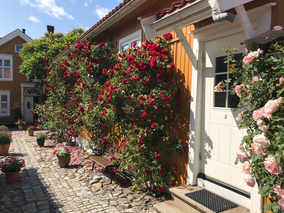 Property building, Garden view