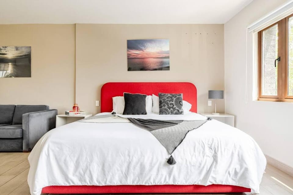 LOVELY LOFT COYOACAN (CHABELA) Apartment in Mexico City