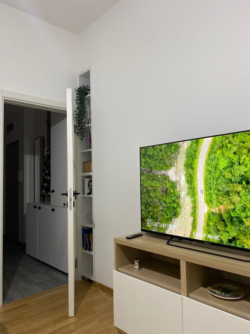 TV and multimedia