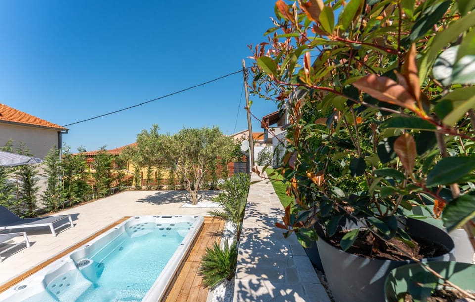 Garden, Garden view, Pool view, Swimming pool, sunbed