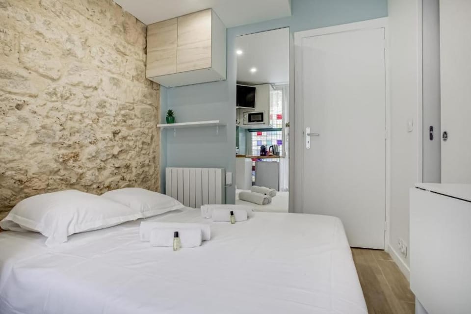 Tiny boutique studio in Paris 11 Apartment in Paris