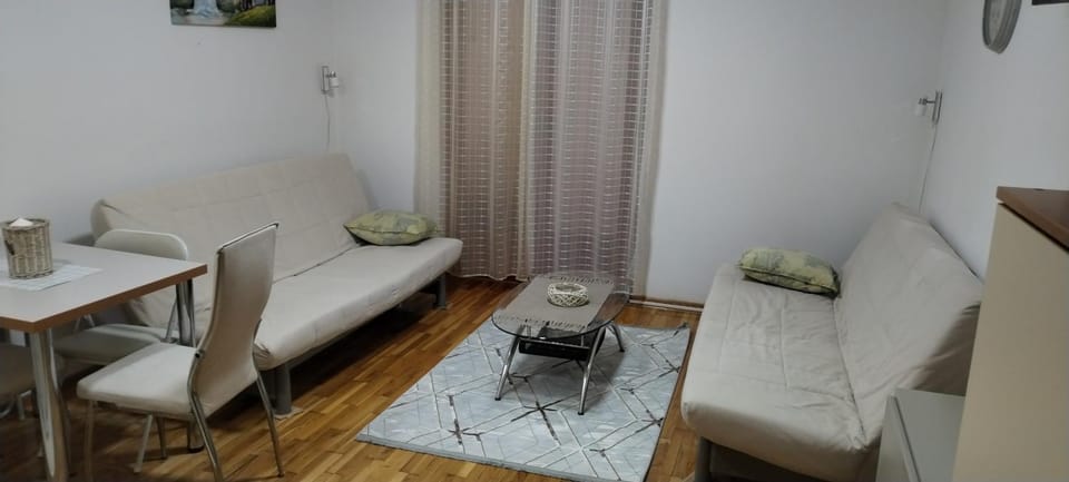 Studio Tomić Apartment in Serbia