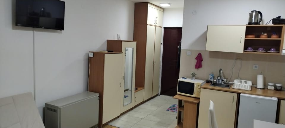 Studio Tomić Apartment in Serbia