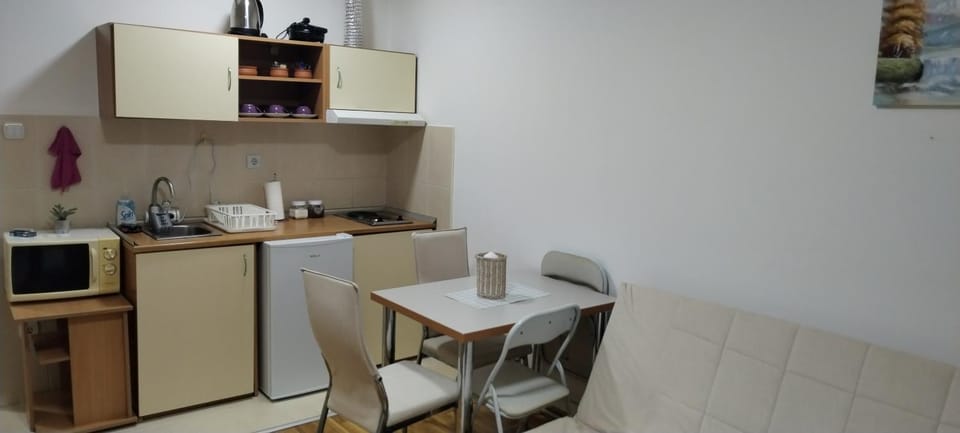 Studio Tomić Apartment in Serbia