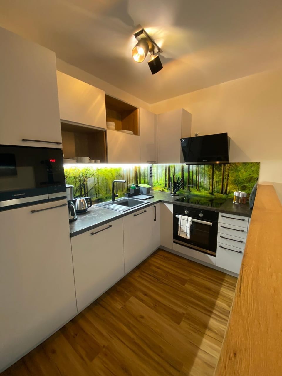 Kitchen or kitchenette