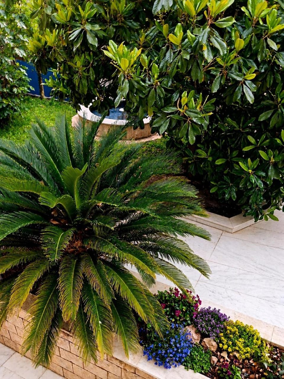 Patio, Day, Garden view, Inner courtyard view