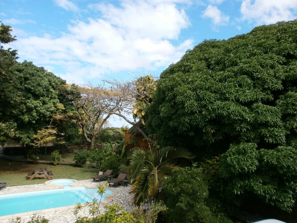 Garden, Swimming pool