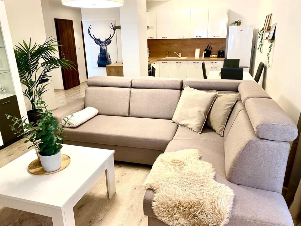The Elite Suite downtown A/C & garage parking Apartment in Bratislava