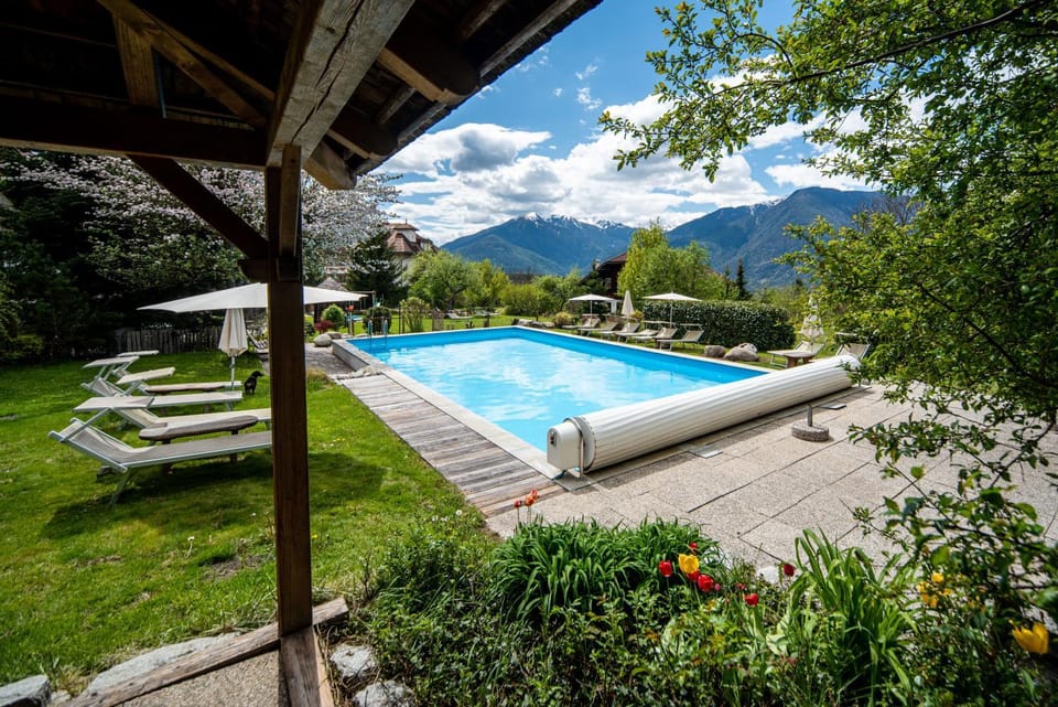 Natural landscape, Garden, Garden view, Pool view, Swimming pool, sunbed