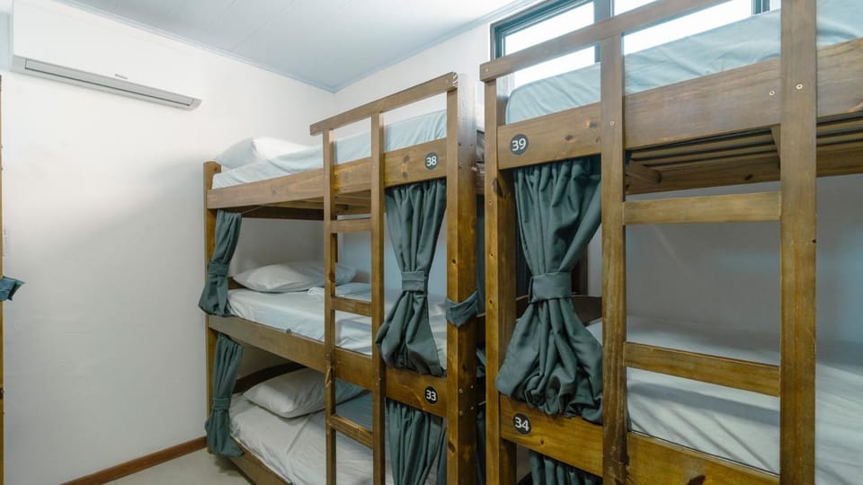 Bed, Photo of the whole room, Bedroom, bunk bed