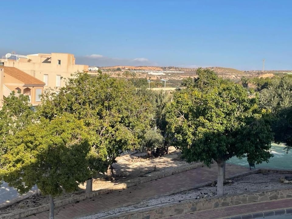 Garden view