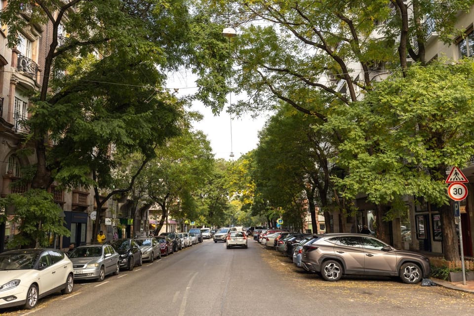 Day, Neighbourhood, City view, Street view, Location, Parking