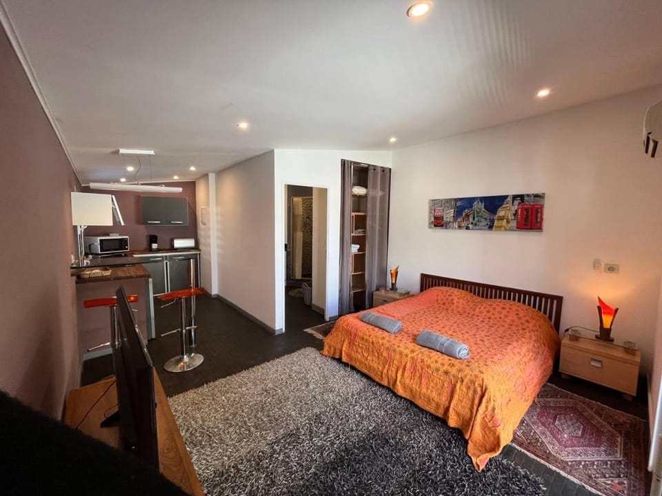 Charmant Studio avec jardin House in Réunion