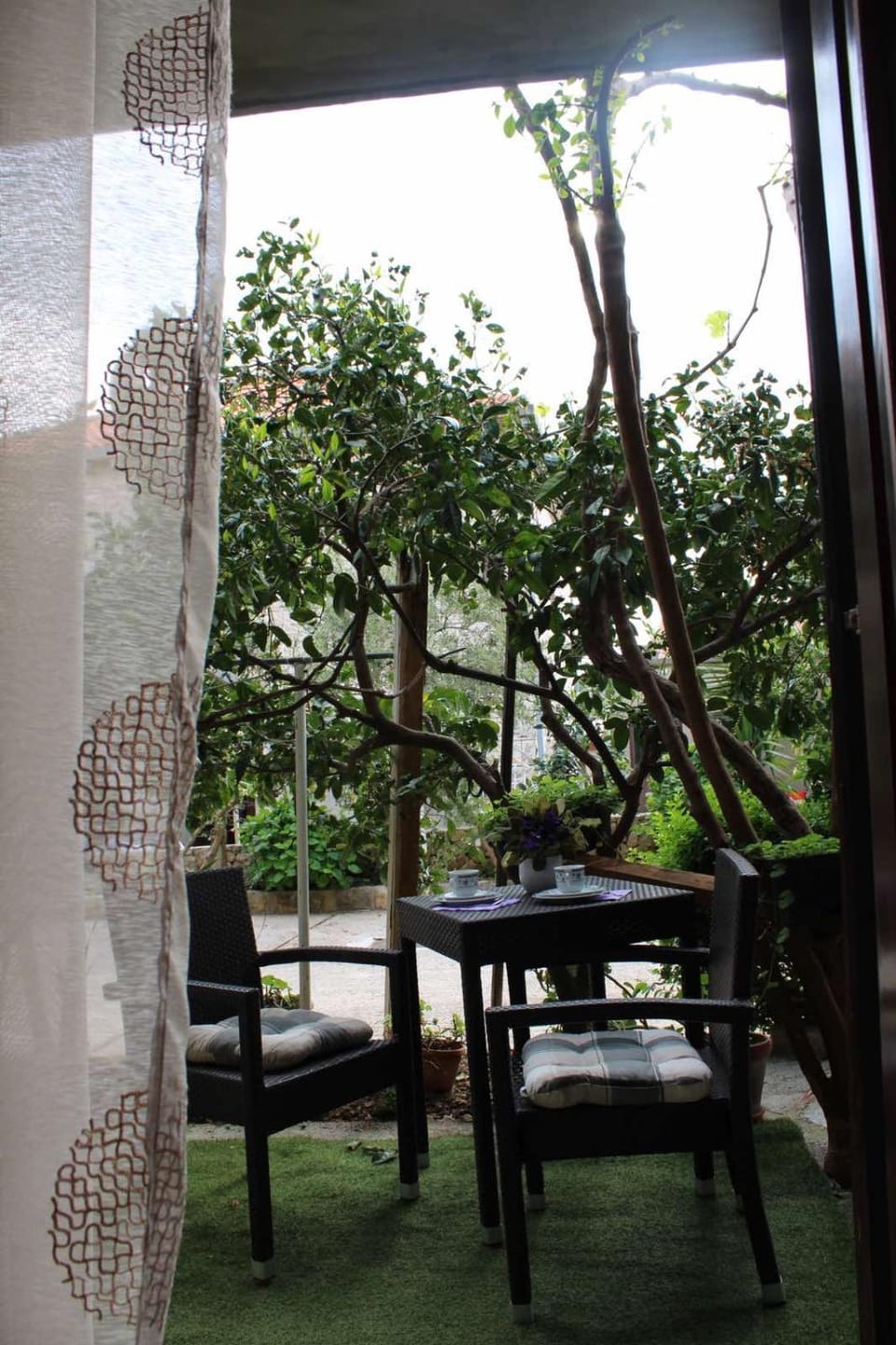 Patio, Day, Seating area, Garden view