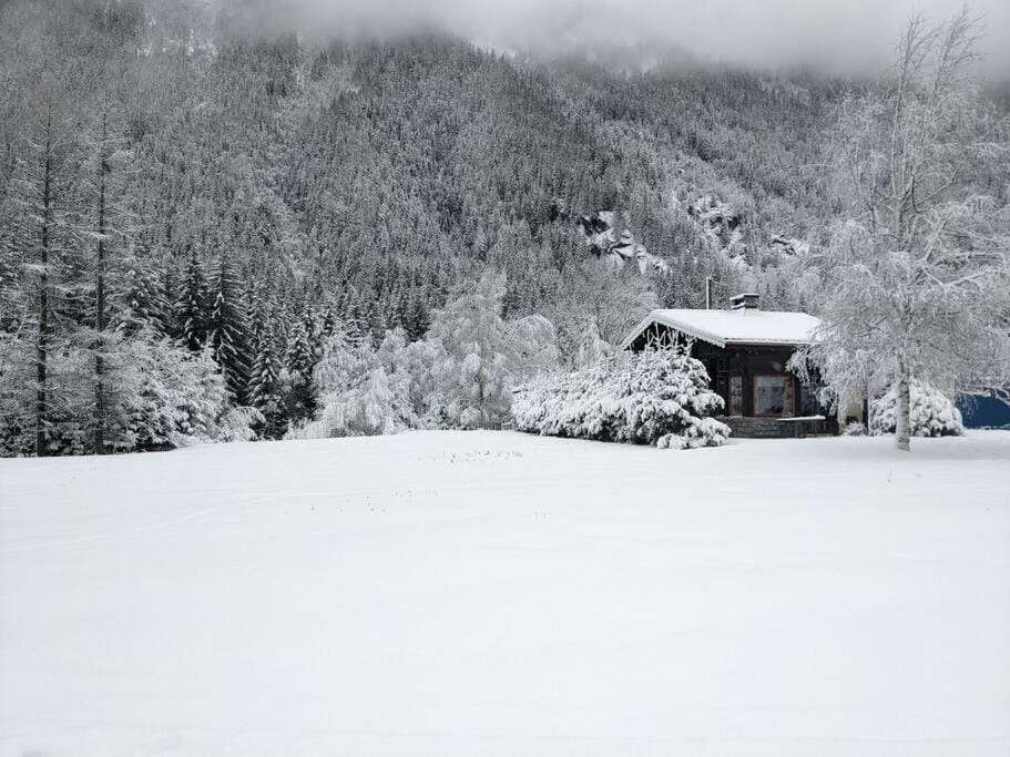 Neighbourhood, Natural landscape, Winter, Pets, Mountain view