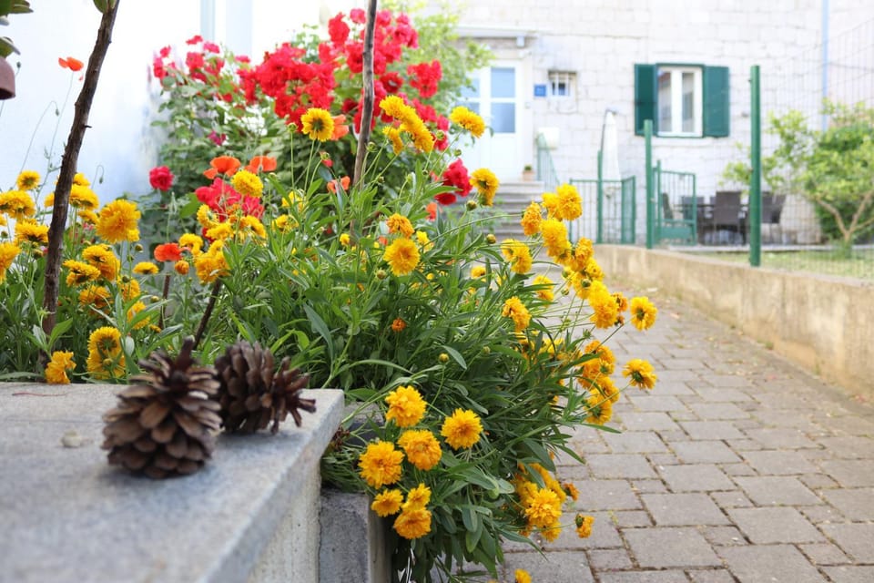 Spring, Day, Garden, Garden, Balcony/Terrace, Garden view, Location