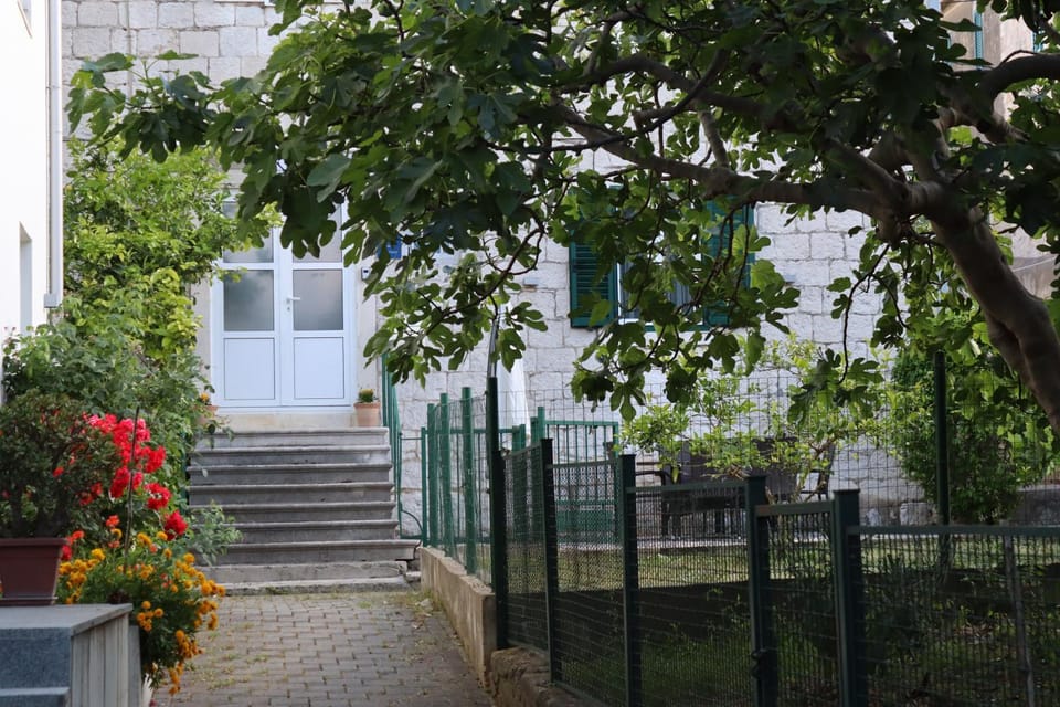 Property building, Spring, Day, Garden, Garden, Balcony/Terrace, Garden view