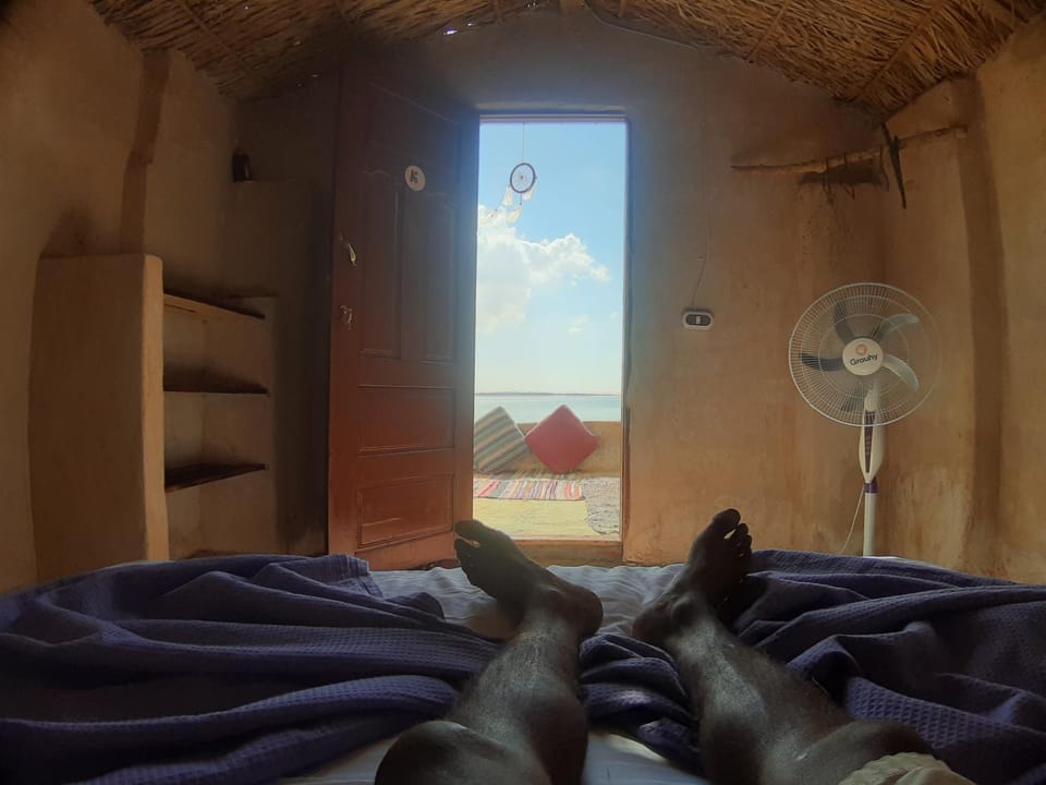 Bed