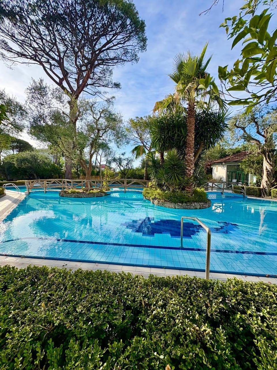 Day, Garden, Garden view, Pool view, Swimming pool
