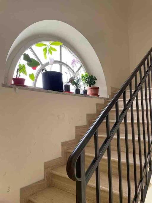 Residenza Castani - Roma Apartment in Rome