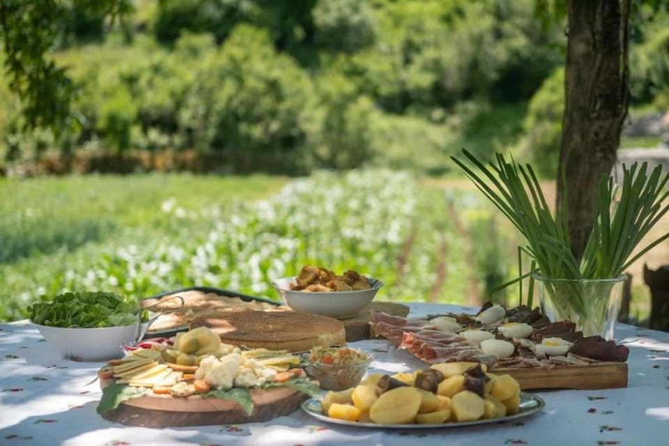Rural Household "Vujić" - food & farm activities House in Montenegro