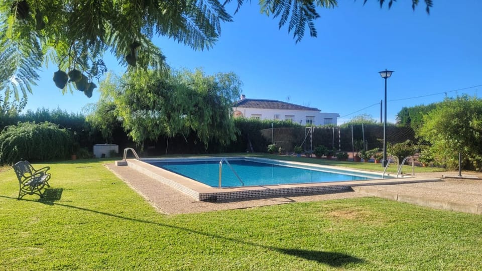 Garden, Garden view, Pool view, Swimming pool