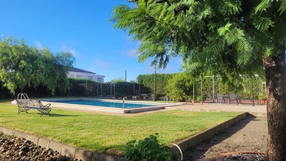 Garden, Pool view, Swimming pool