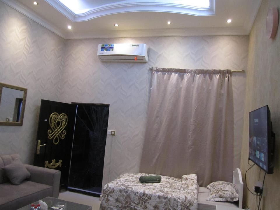 Bed, TV and multimedia, Living room, Photo of the whole room, Seating area, air conditioner