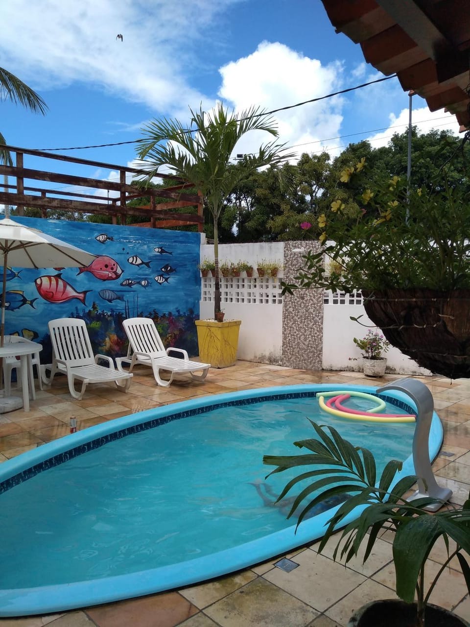 Pool view