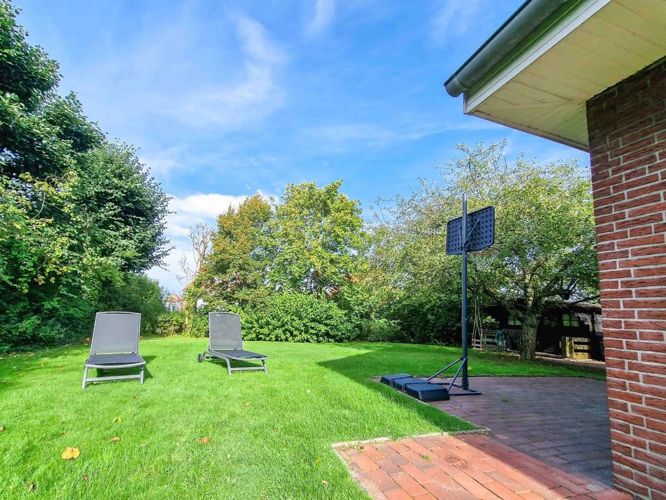 Garden, Garden view, sunbed