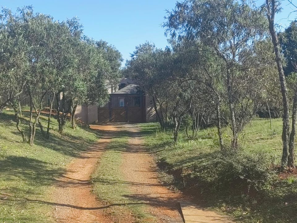Natural landscape