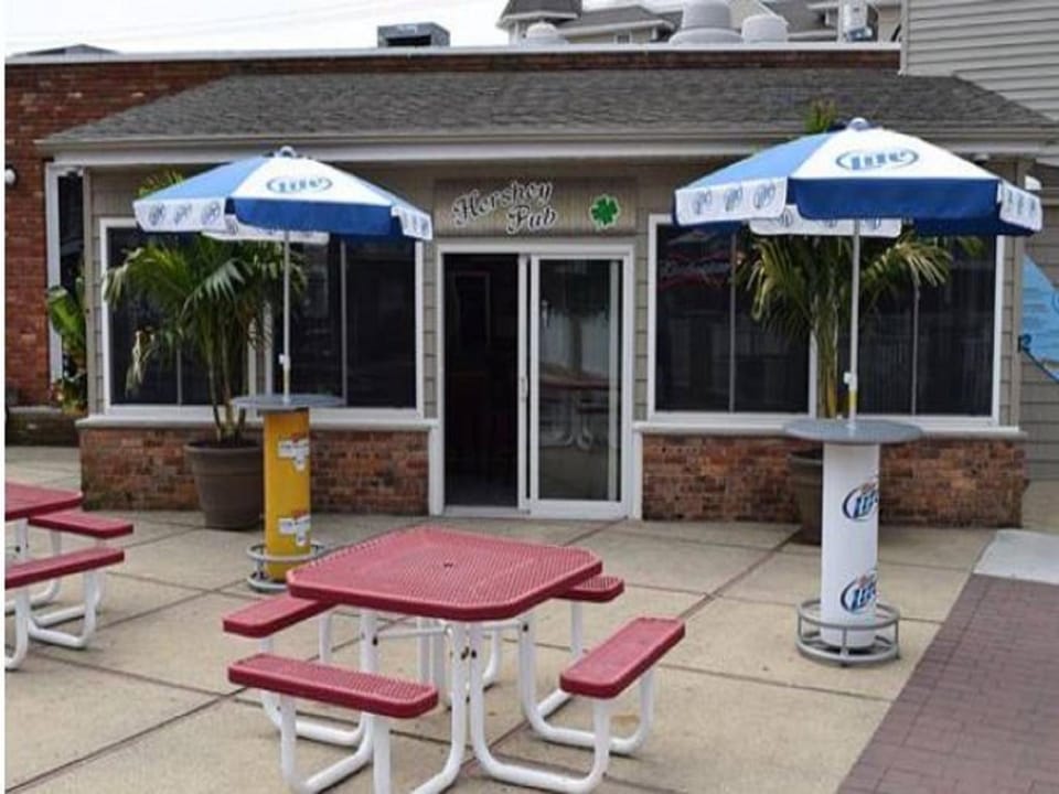 Patio, Day