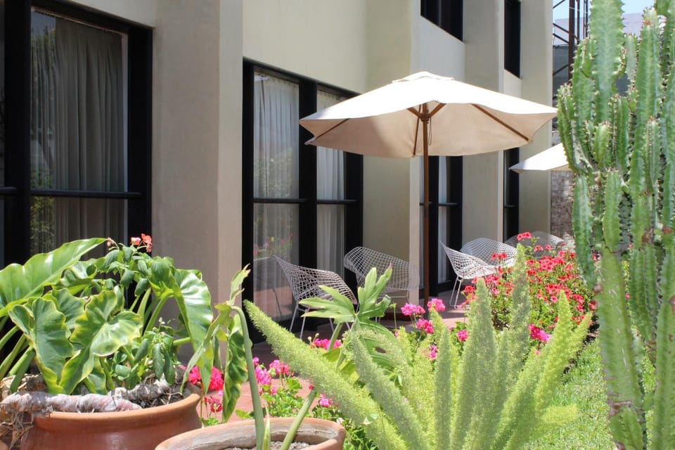 Patio, Garden