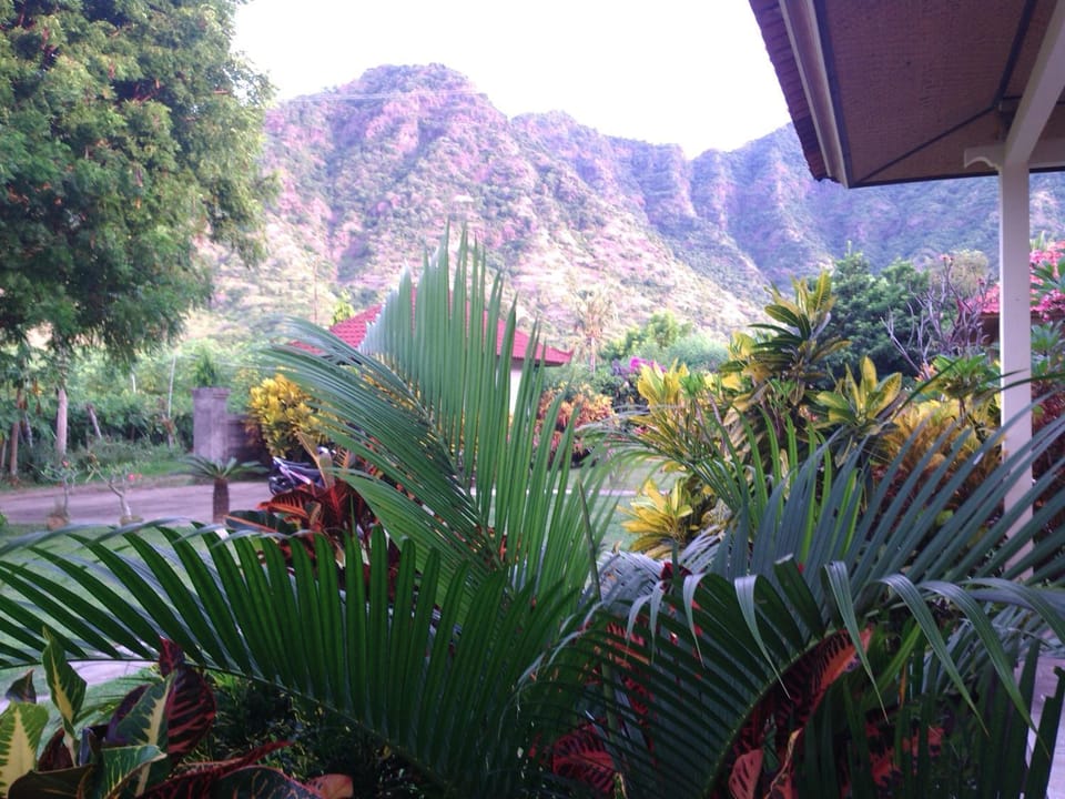 Garden view, Mountain view