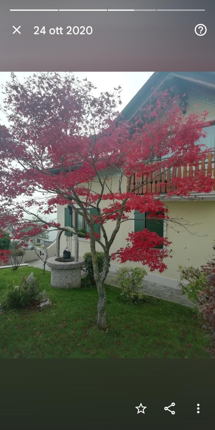 Villetta di montagna Apartment in Veneto