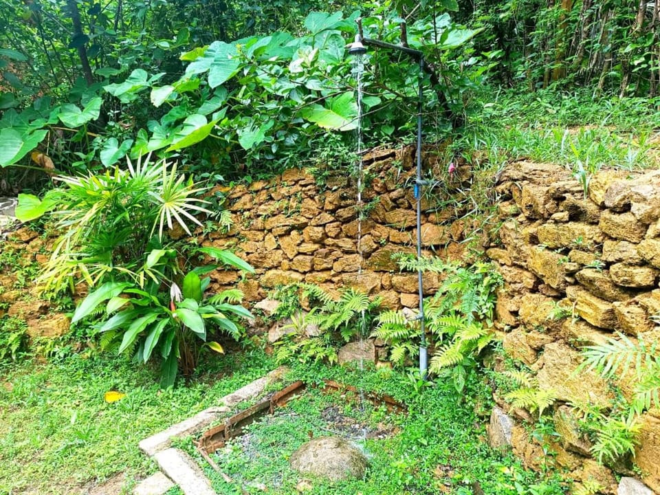 Shower, Garden