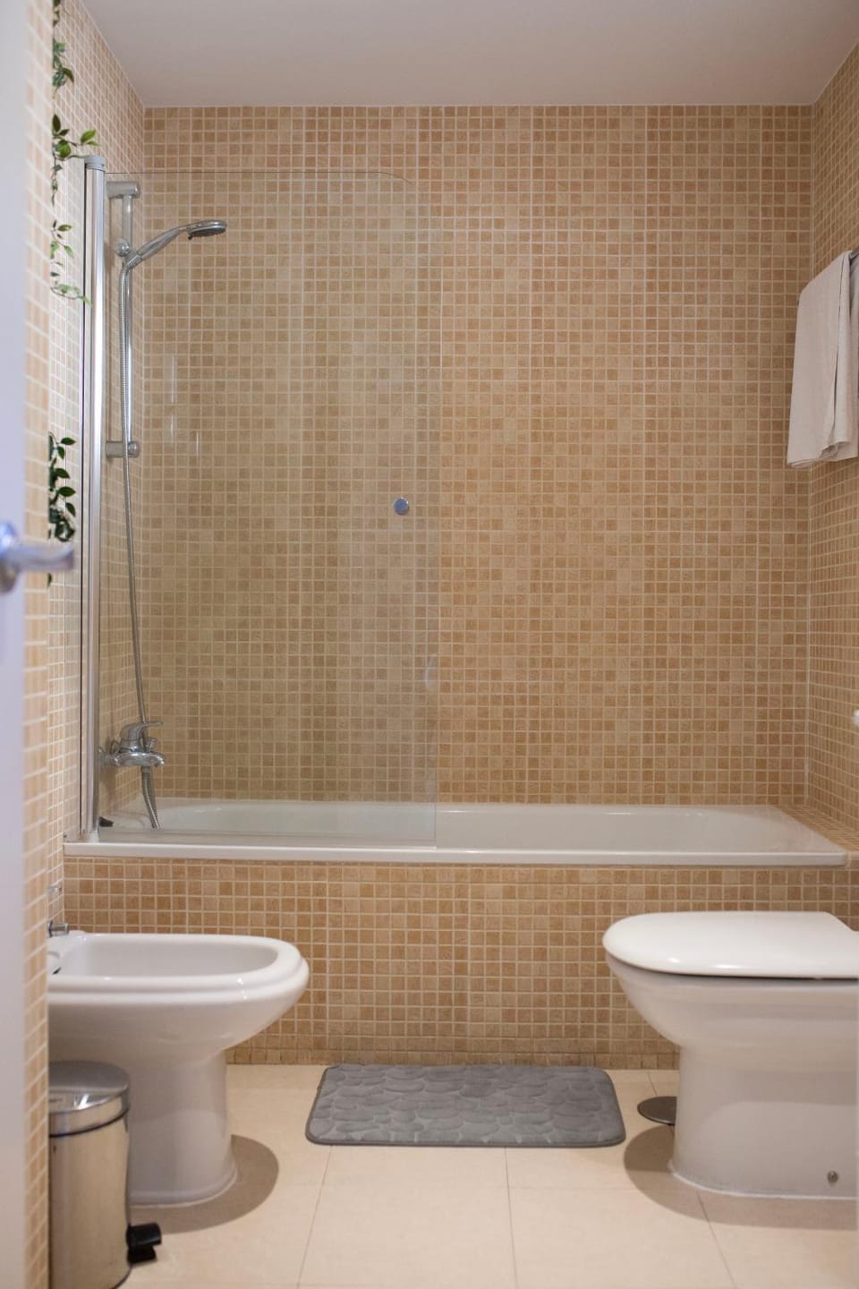 Shower, Toilet, Bathroom, Bath, bidet, towels