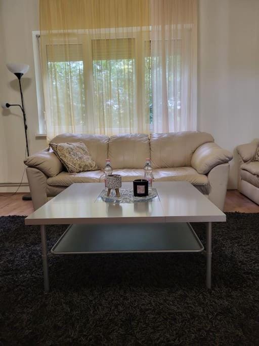 Wishy Washy House Apartment in Hungary