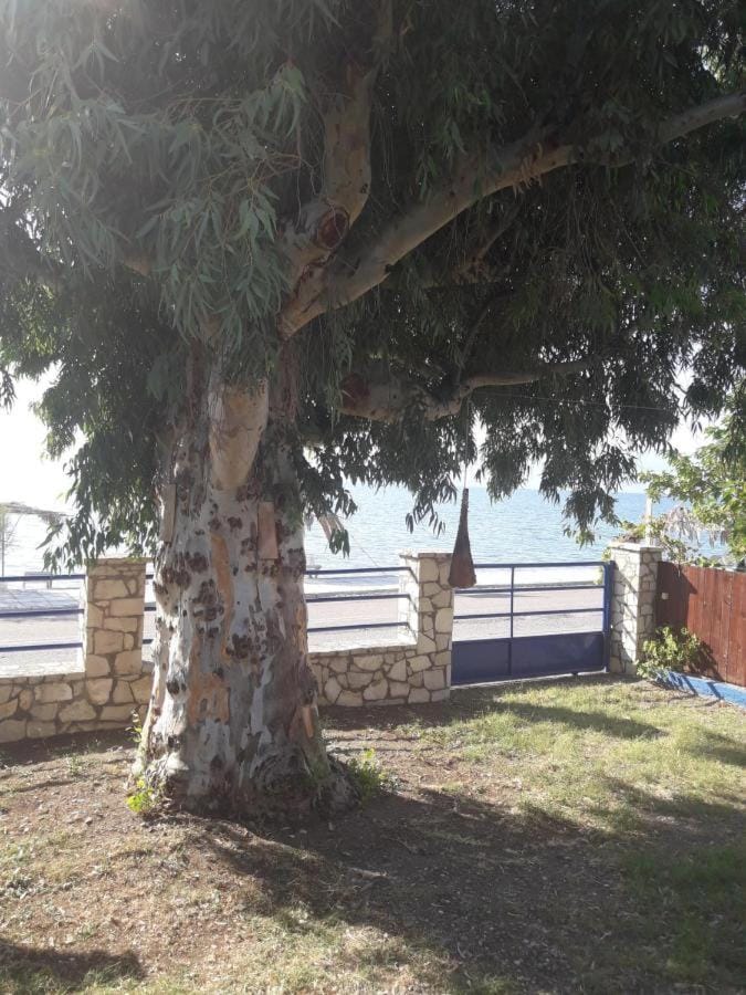 Holiday Tolofona Beach Apartment in Peloponnese, Western Greece and the Ionian