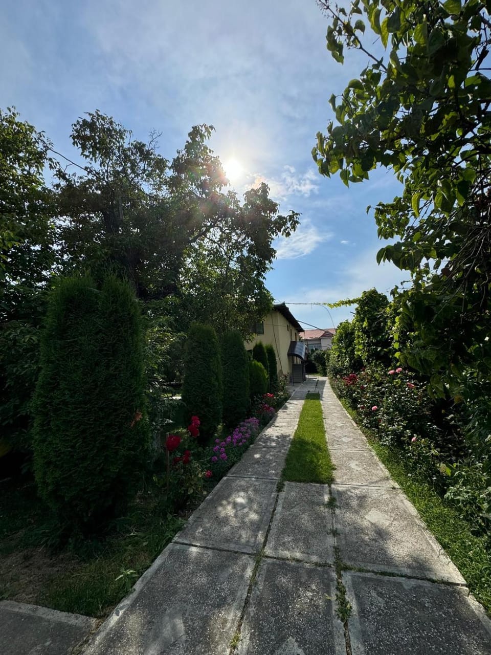 Garden view