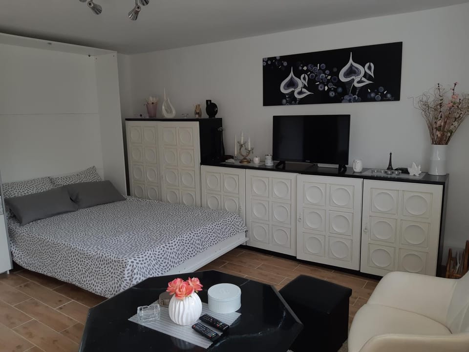 Studio Apartman Kjara Apartment in City of Zagreb