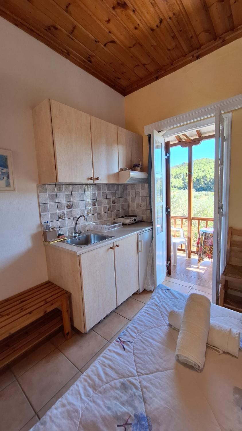Armonia Guesthouse Apartment in Sporades, Greece
