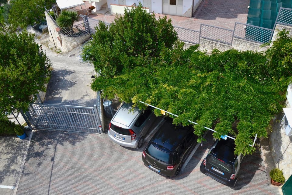 Property building, Bird's eye view, Garden, View (from property/room), Garden view