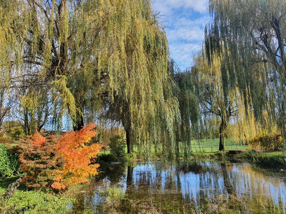 Natural landscape