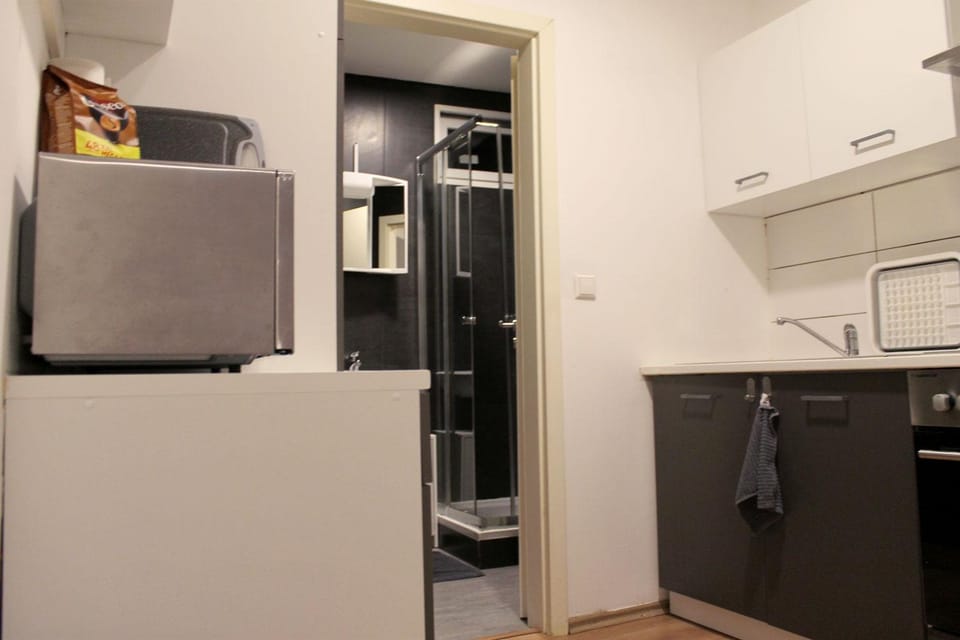 Shower, Bathroom, Kitchen or kitchenette, minibar, washing machine