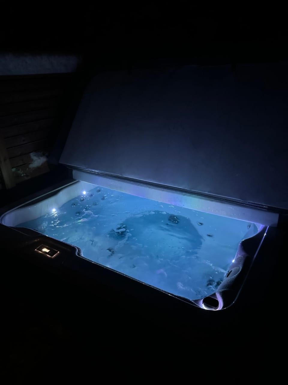 Hot Tub, Swimming pool
